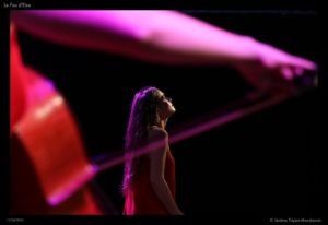 Mathilde suona allo spettacolo Le fou d'Elsa