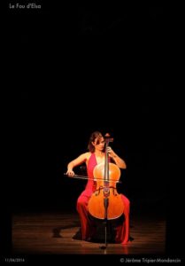 Le fou d'Elsa teatro
